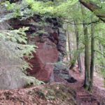 Premiumwanderweg "Dahner Felsenpfad"