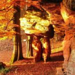 Premiumwanderweg "Dahner Felsenpfad"