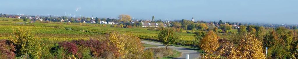 Friedelsheim bei Bad Dürkheim in der Pfalz