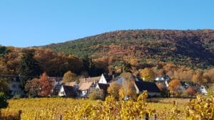 Gleisweiler in der Südpfalz