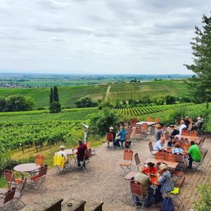 Bier- und Weingarten auf Schloss Villa Ludwigshöhe bei Edenkoben in der Pfalz