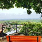 Der Blick von der Wachtenburg auf Wachenheim