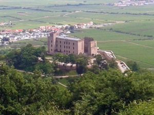 Blick auf das Hambacher Schloss vom Wetterkreuz aus