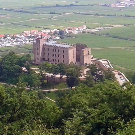 Blick auf das Hambacher Schloss vom Wetterkreuz aus