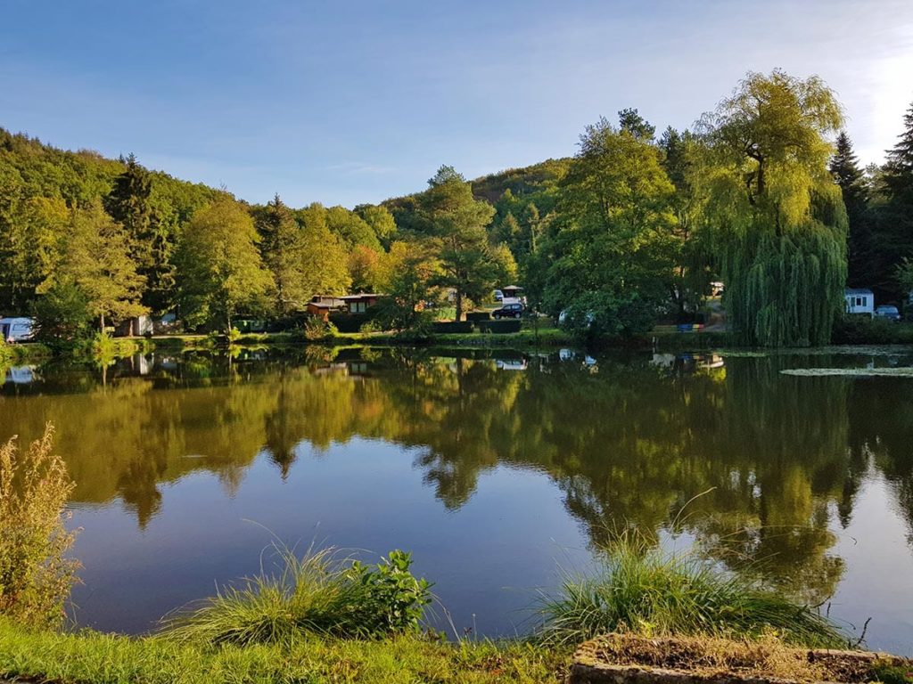 Hetschmühlenweiher bei Sippersfeld in der Pfalz