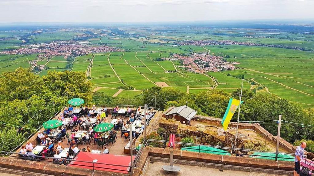 fastnachtsumzüge in der pfalz van