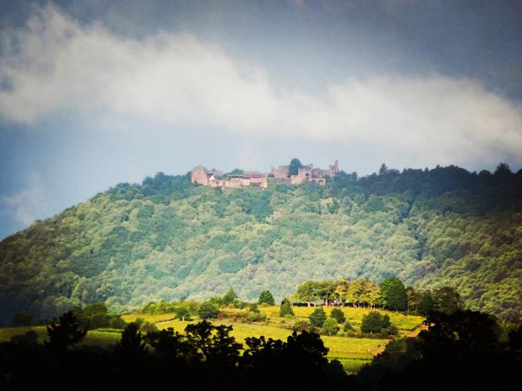 Die Madenburg über Eschbach in der Pfalz