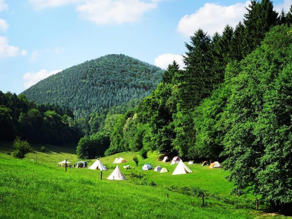 Trekking in der Pfalz