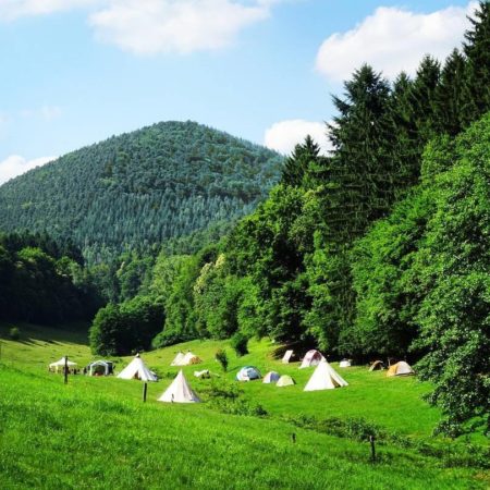 Trekking in der Pfalz