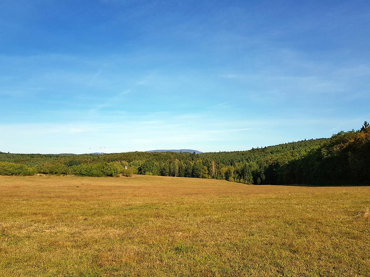 Single wandern in der pfalz