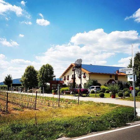 Weingut & Gästehaus „Villa Hochdörffer“ in Landau - Nußdorf