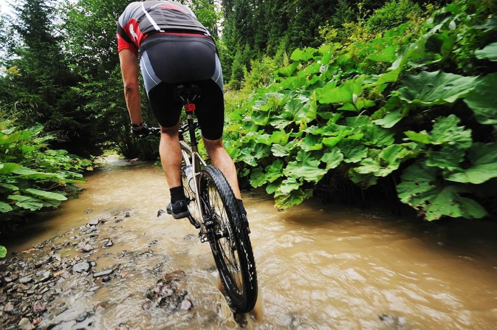 Mountainbikepark Pfälzerwald - Trails