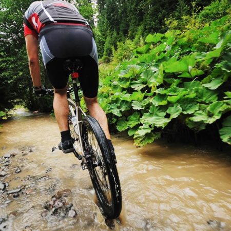 Mountainbikepark Pfälzerwald - Trails