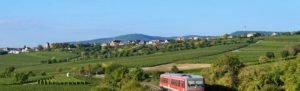 Dackenheim in der Pfalz