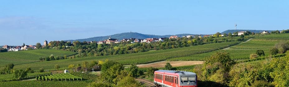 Dackenheim in der Pfalz