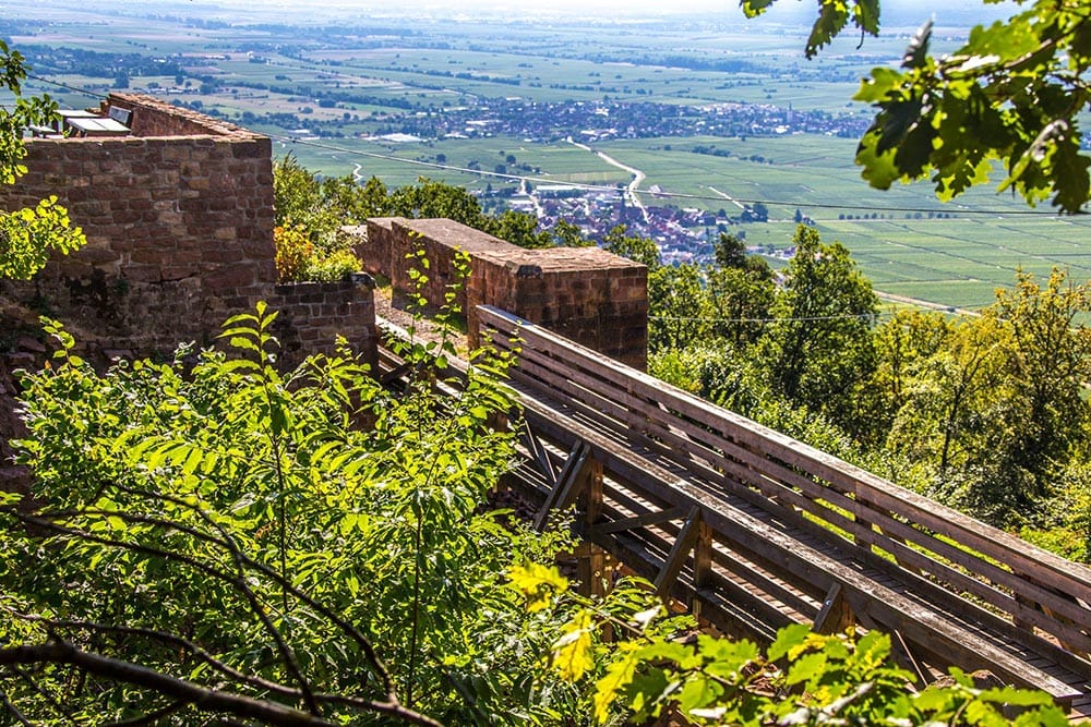 Blick auf Rhodt unter Rietburg - Foto: Andreas Ott