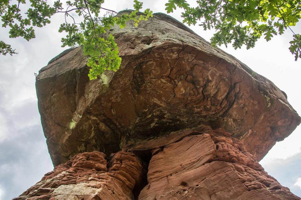 Pilzfelsen Teufelstisch im Pfälzerwald - Foto: Andreas Ott
