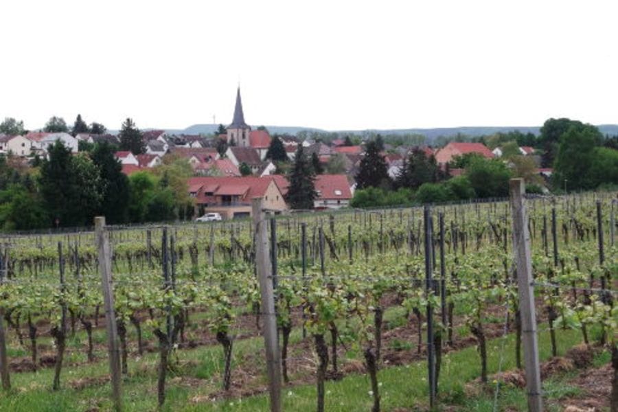 Bissersheim in der Pfalz
