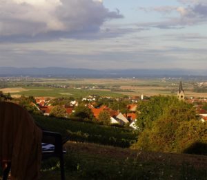 Der wunderschöne Blick auf Kindenheim in der Pfalz