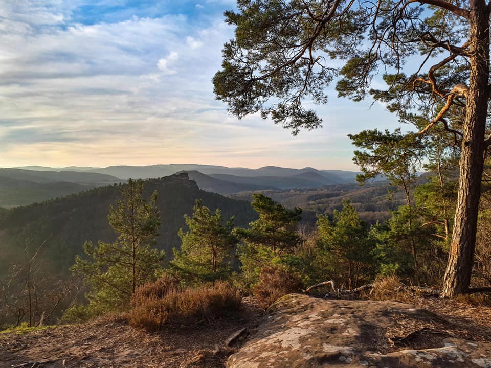 Der Blick vom Kuhfelsen auf dem Rodalber Felsenwanderweg