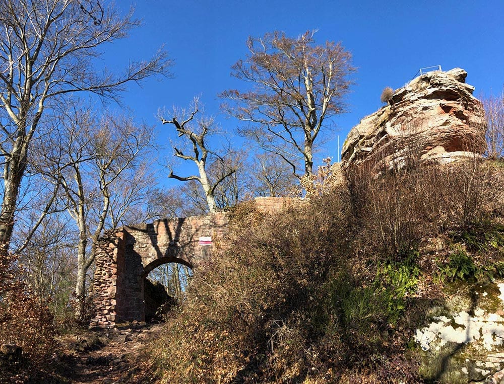 Burgruine Guttenberg bei Dörrenbach im Pfälzerwald in der Südpfalz