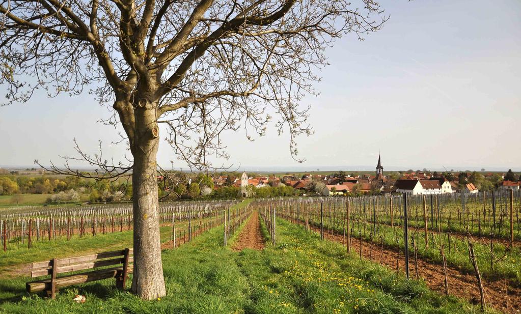 Godramstein in der Pfalz