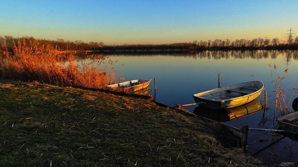 Der Lambsheimer Weiher in der Pfalz - Foto: Slow Wandern