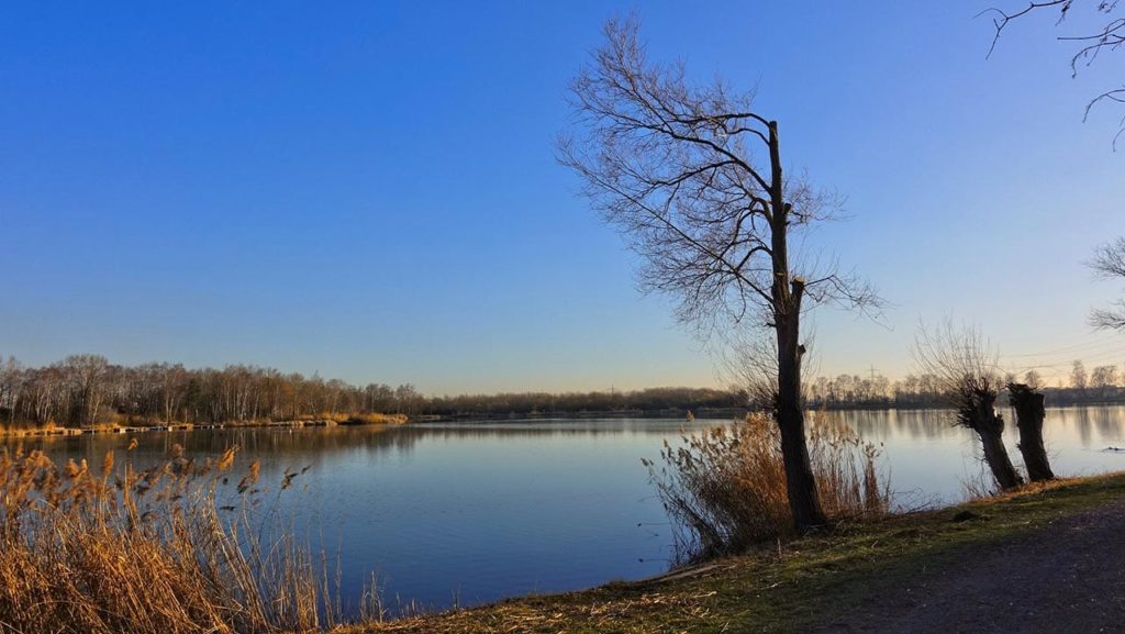 Der Lambsheimer Weiher - Foto: Slow Wandern