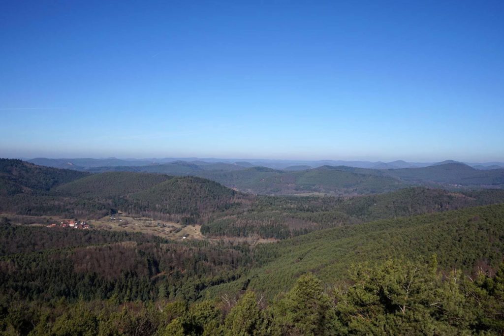 Der Blick vom Stäffelsbergturm, Dörrenbach in der Südpfalz - Pfälzerwald