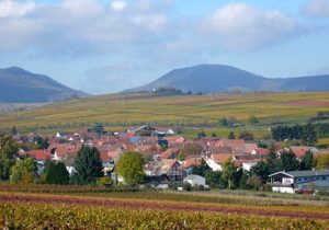 Wollmesheim in der Pfalz