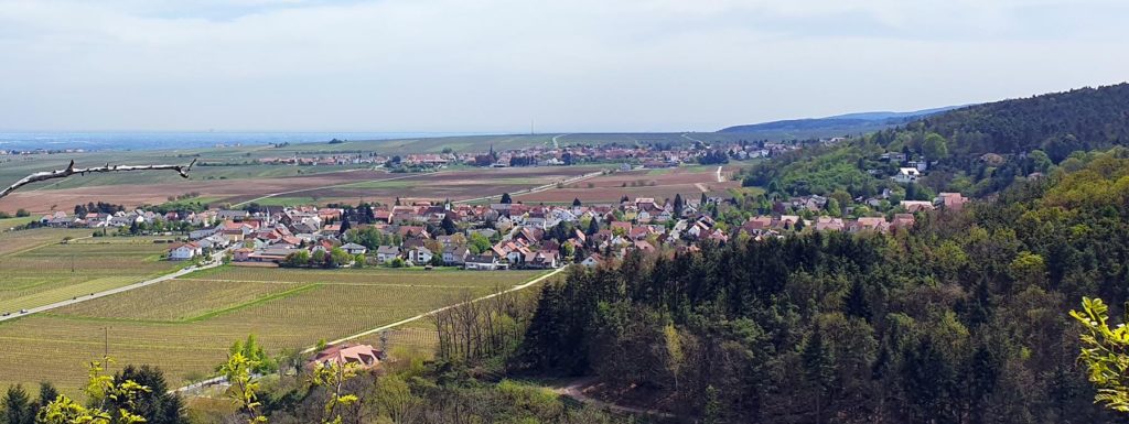 Bobenheim am Berg in der Pfalz