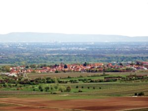 Dackenheim in der Pfalz