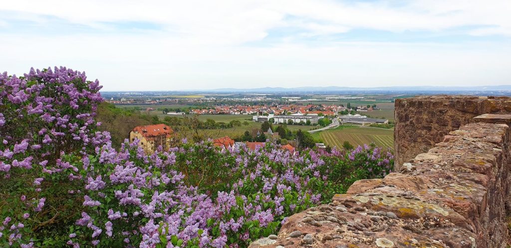 Grünstadt in der Pfalz