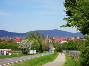 Kirrweiler an der Südlichen Weinstraße in der Pfalz