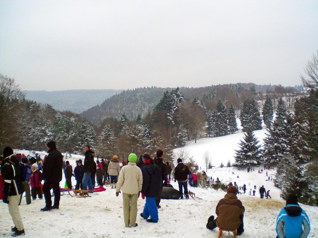 Rodelspaß - Hermersbergerhof