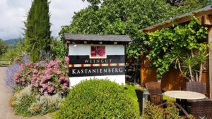 Kastanienberg in Hainfeld