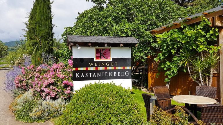 Kastanienberg | www.pfalz-info.com