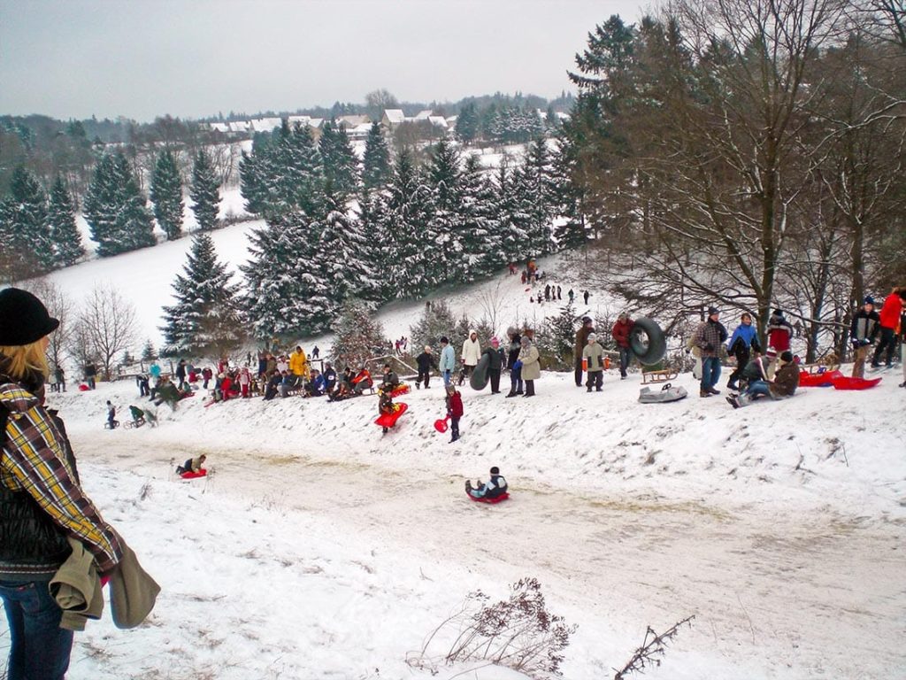 Rodeln - Hermersbergerhof in der Pfalz