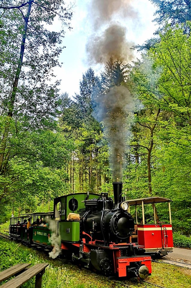 Stumpfwaldbahn bei Ramsen