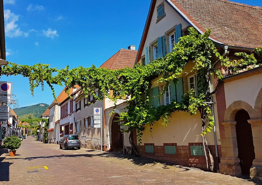 Theresienstraße in Rhodt in der Pfalz