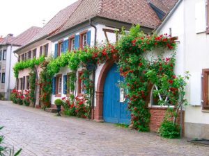 Theresienstraße Rhodt unter Rietburg - Foto: Heike Lang - Bildarchiv Südliche Weinstraße e.V.