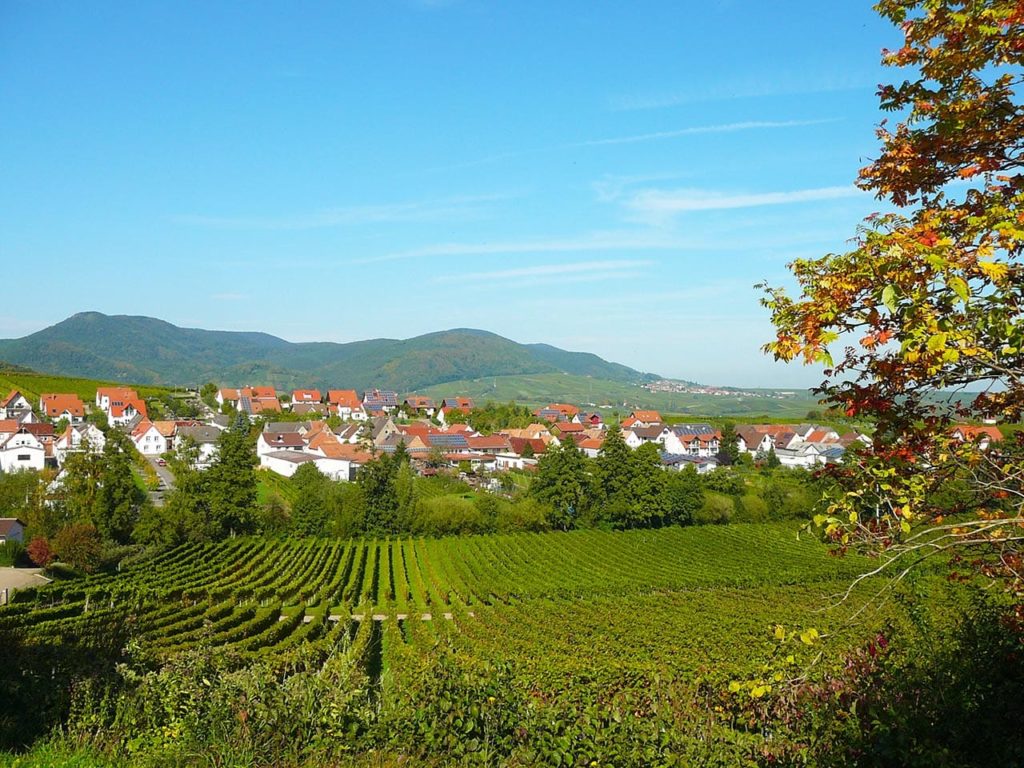 Ranschbach - Pfalz