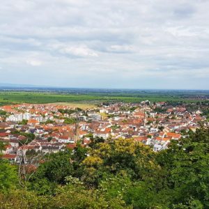 Panoramablick über eine Kleinstadt mit roten Ziegeldächern und zentraler Kirchturmspitze, umgeben von grünen Feldern und Bäumen unter bewölktem Himmel.