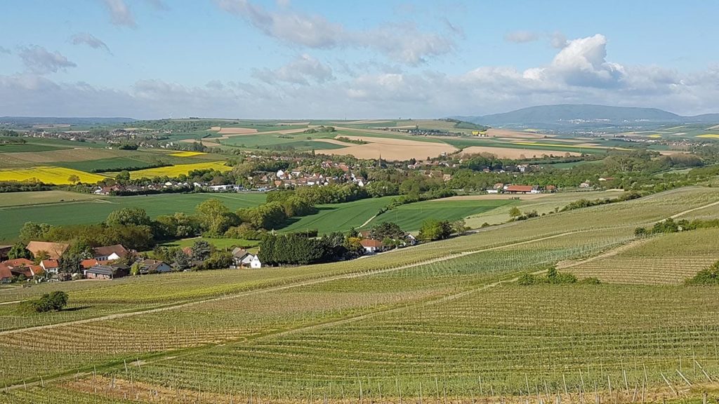 Der Blick auf den Donnersberg vom Zellertal aus