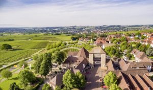 Luftaufnahme eines Dorfes mit Weinbergen, zentraler steinerner Torbau und roten Ziegeldächern, grüne Felder bis zum Horizont.