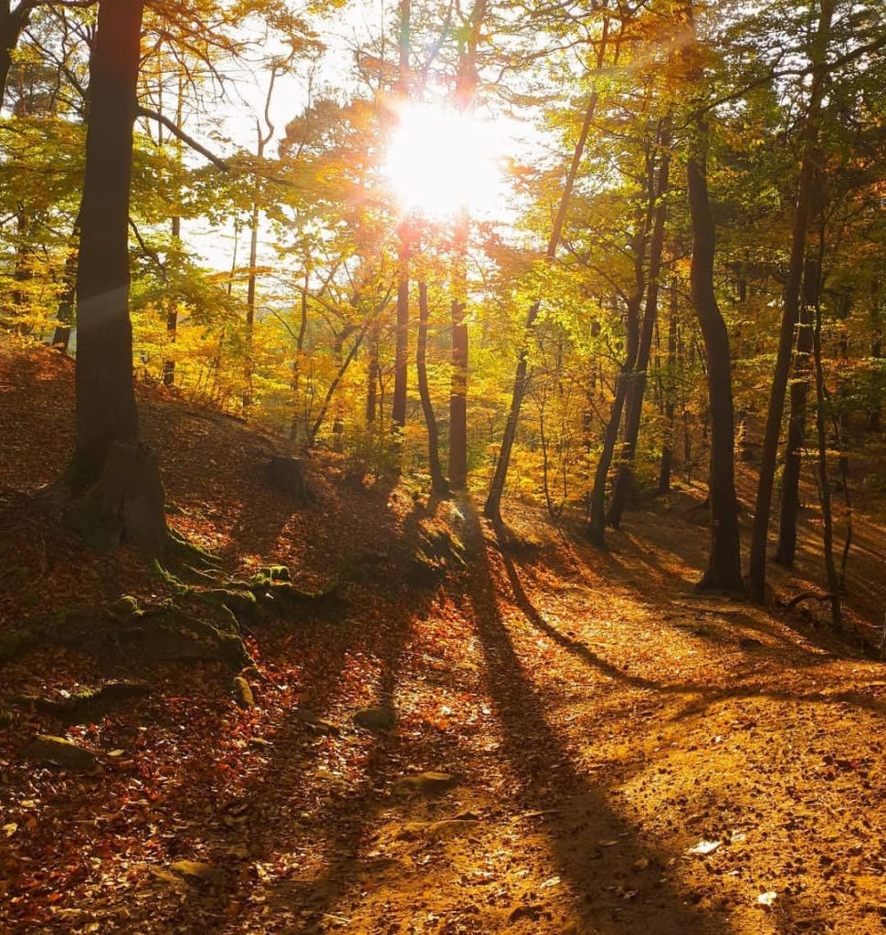 Bei Landstuhl