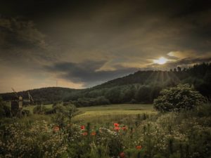 Ramsen in der Pfalz