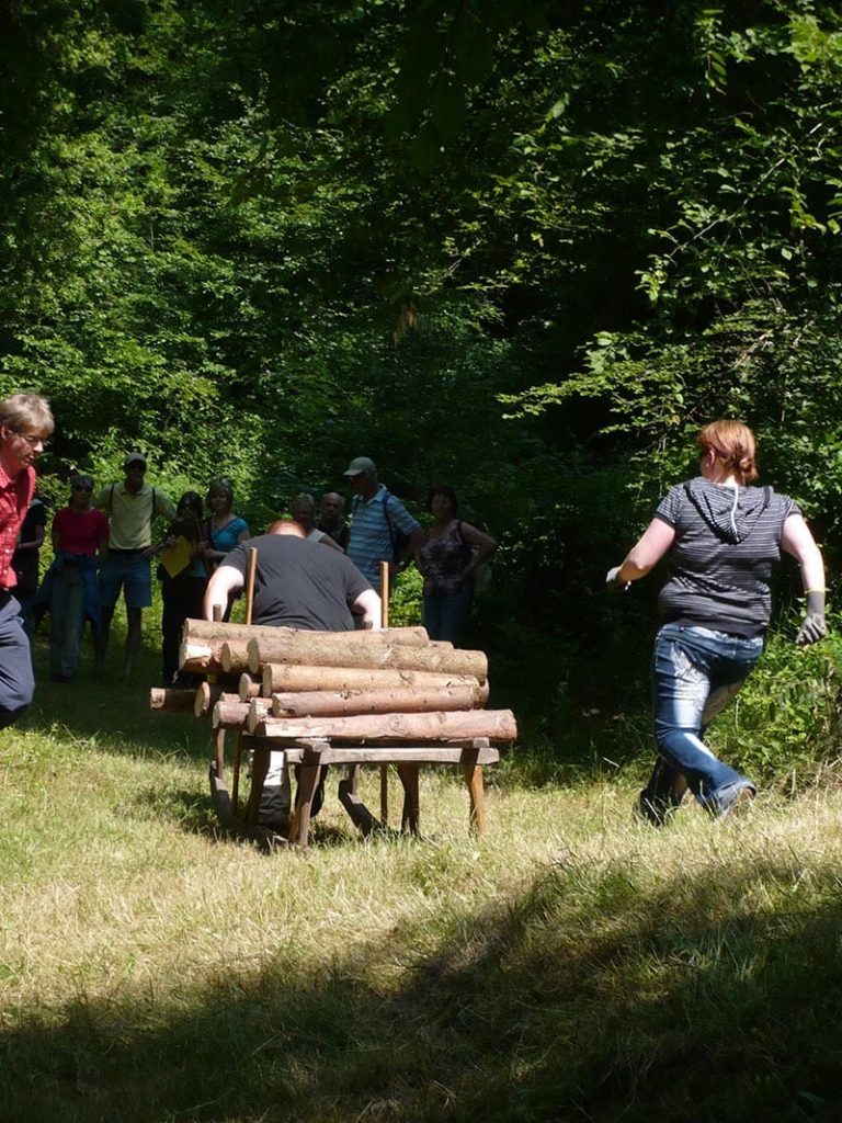 Triftfest in Rinnthal, Holzschlitten