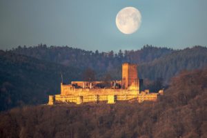 Burgruine Landeck bei Klingenmünster in der Pfalz