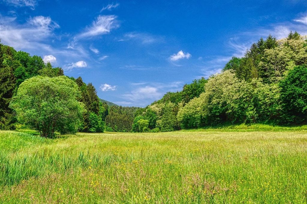 Naturparadies Weidenthal in der Pfalz